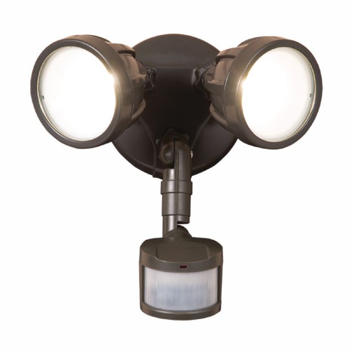 Twin Head LED Motion Floodlight, Bronze